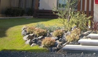 20131210_390767.jpg