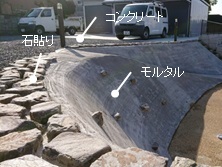グランドカバー2.jpg