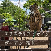 IMG_6158.JPG
